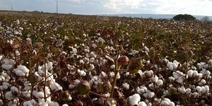 Unveil 8a21a6f614db065bb1ca2c21a5c803aede783f93e5277febbd47f37d9dbae4ca