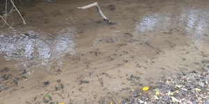 Unveil 8a21a6f614db065bb1ca2c21a5c803aede783f93e5277febbd47f37d9dbae4ca