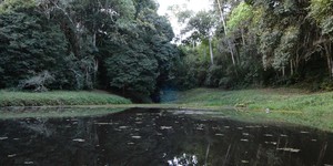 Unveil 8a21a6f614db065bb1ca2c21a5c803aede783f93e5277febbd47f37d9dbae4ca