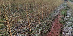 Unveil 8a21a6f614db065bb1ca2c21a5c803aede783f93e5277febbd47f37d9dbae4ca