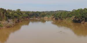 Unveil 8a21a6f614db065bb1ca2c21a5c803aede783f93e5277febbd47f37d9dbae4ca