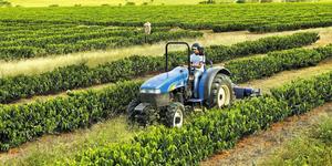 Unveil 8a21a6f614db065bb1ca2c21a5c803aede783f93e5277febbd47f37d9dbae4ca