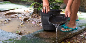 Unveil 8a21a6f614db065bb1ca2c21a5c803aede783f93e5277febbd47f37d9dbae4ca