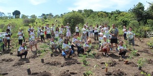 Unveil 8a21a6f614db065bb1ca2c21a5c803aede783f93e5277febbd47f37d9dbae4ca