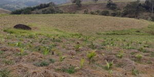 Unveil 8a21a6f614db065bb1ca2c21a5c803aede783f93e5277febbd47f37d9dbae4ca