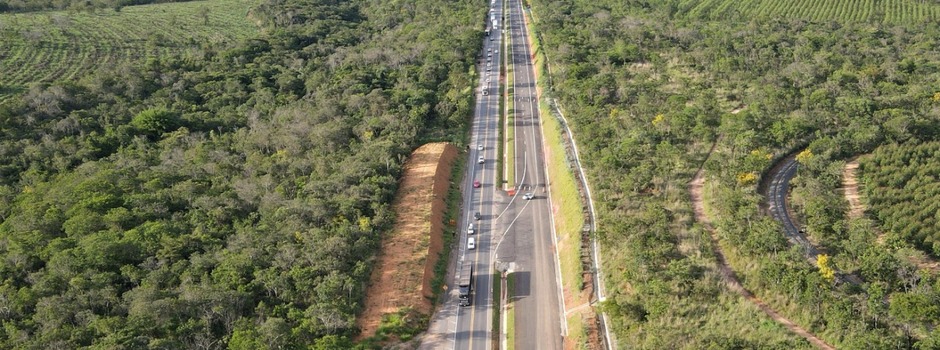 imagem de destaque