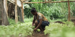 Unveil 8a21a6f614db065bb1ca2c21a5c803aede783f93e5277febbd47f37d9dbae4ca