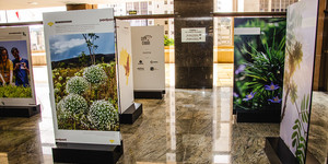 Unveil 8a21a6f614db065bb1ca2c21a5c803aede783f93e5277febbd47f37d9dbae4ca