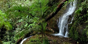 Unveil 8a21a6f614db065bb1ca2c21a5c803aede783f93e5277febbd47f37d9dbae4ca