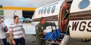 Unveil 8a21a6f614db065bb1ca2c21a5c803aede783f93e5277febbd47f37d9dbae4ca