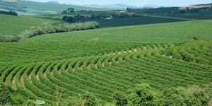 Unveil 8a21a6f614db065bb1ca2c21a5c803aede783f93e5277febbd47f37d9dbae4ca