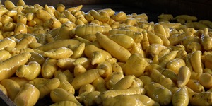 Unveil 8a21a6f614db065bb1ca2c21a5c803aede783f93e5277febbd47f37d9dbae4ca