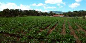 Unveil 8a21a6f614db065bb1ca2c21a5c803aede783f93e5277febbd47f37d9dbae4ca