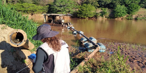 Unveil 8a21a6f614db065bb1ca2c21a5c803aede783f93e5277febbd47f37d9dbae4ca