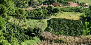 Unveil 8a21a6f614db065bb1ca2c21a5c803aede783f93e5277febbd47f37d9dbae4ca