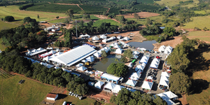 Unveil 8a21a6f614db065bb1ca2c21a5c803aede783f93e5277febbd47f37d9dbae4ca