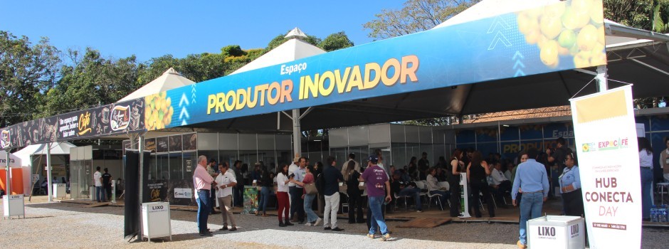 imagem de destaque