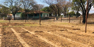 Unveil 8a21a6f614db065bb1ca2c21a5c803aede783f93e5277febbd47f37d9dbae4ca