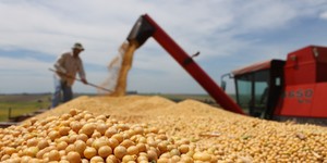 Unveil 8a21a6f614db065bb1ca2c21a5c803aede783f93e5277febbd47f37d9dbae4ca