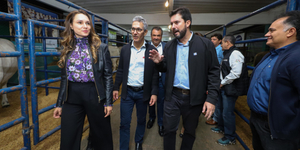 Unveil 8a21a6f614db065bb1ca2c21a5c803aede783f93e5277febbd47f37d9dbae4ca