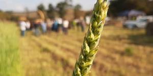 Unveil 8a21a6f614db065bb1ca2c21a5c803aede783f93e5277febbd47f37d9dbae4ca