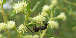 Unveil 8a21a6f614db065bb1ca2c21a5c803aede783f93e5277febbd47f37d9dbae4ca