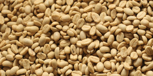 Unveil 8a21a6f614db065bb1ca2c21a5c803aede783f93e5277febbd47f37d9dbae4ca