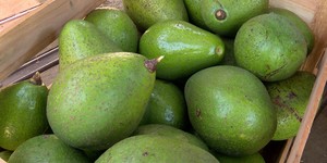 Unveil 8a21a6f614db065bb1ca2c21a5c803aede783f93e5277febbd47f37d9dbae4ca