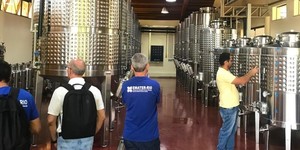 Unveil 8a21a6f614db065bb1ca2c21a5c803aede783f93e5277febbd47f37d9dbae4ca