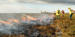 Unveil 8a21a6f614db065bb1ca2c21a5c803aede783f93e5277febbd47f37d9dbae4ca