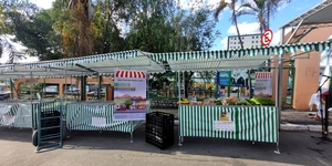 Unveil 8a21a6f614db065bb1ca2c21a5c803aede783f93e5277febbd47f37d9dbae4ca