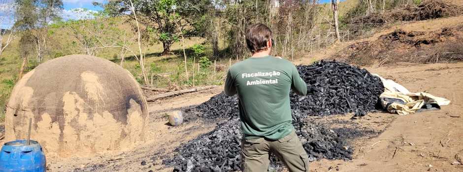imagem de destaque