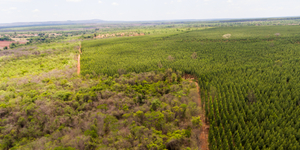 Unveil 8a21a6f614db065bb1ca2c21a5c803aede783f93e5277febbd47f37d9dbae4ca