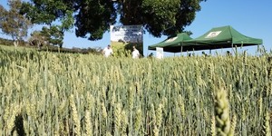 Unveil 8a21a6f614db065bb1ca2c21a5c803aede783f93e5277febbd47f37d9dbae4ca