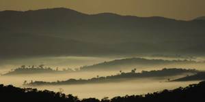 Unveil 8a21a6f614db065bb1ca2c21a5c803aede783f93e5277febbd47f37d9dbae4ca