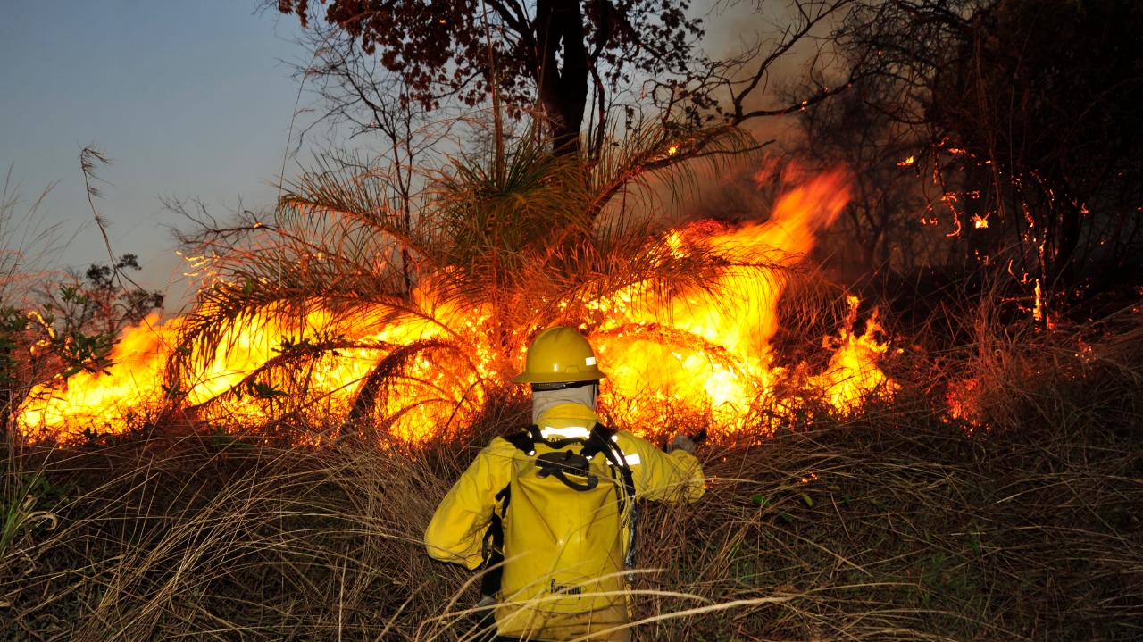 Agência Minas Gerais | Governo de Minas intensifica ações para coibir incêndios  criminosos