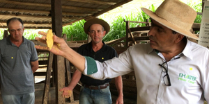 Unveil 8a21a6f614db065bb1ca2c21a5c803aede783f93e5277febbd47f37d9dbae4ca