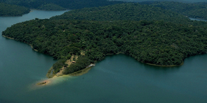 Unveil 8a21a6f614db065bb1ca2c21a5c803aede783f93e5277febbd47f37d9dbae4ca