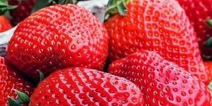 Unveil 8a21a6f614db065bb1ca2c21a5c803aede783f93e5277febbd47f37d9dbae4ca