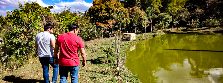 imagem de destaque