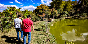 Unveil 8a21a6f614db065bb1ca2c21a5c803aede783f93e5277febbd47f37d9dbae4ca