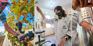 Unveil 8a21a6f614db065bb1ca2c21a5c803aede783f93e5277febbd47f37d9dbae4ca