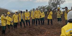 Unveil 8a21a6f614db065bb1ca2c21a5c803aede783f93e5277febbd47f37d9dbae4ca