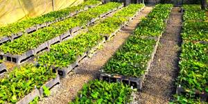 Unveil 8a21a6f614db065bb1ca2c21a5c803aede783f93e5277febbd47f37d9dbae4ca