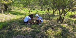 Unveil 8a21a6f614db065bb1ca2c21a5c803aede783f93e5277febbd47f37d9dbae4ca