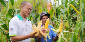 Unveil 8a21a6f614db065bb1ca2c21a5c803aede783f93e5277febbd47f37d9dbae4ca