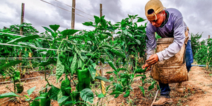 Unveil 8a21a6f614db065bb1ca2c21a5c803aede783f93e5277febbd47f37d9dbae4ca