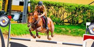 Unveil 8a21a6f614db065bb1ca2c21a5c803aede783f93e5277febbd47f37d9dbae4ca