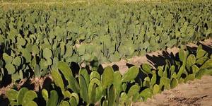 Unveil 8a21a6f614db065bb1ca2c21a5c803aede783f93e5277febbd47f37d9dbae4ca