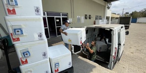 Unveil 8a21a6f614db065bb1ca2c21a5c803aede783f93e5277febbd47f37d9dbae4ca